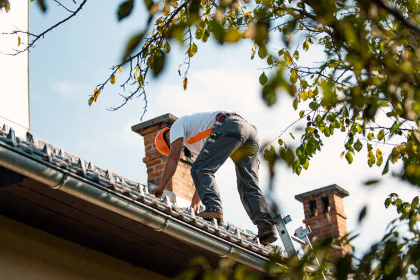 Professional Roofing Contractor in Erwin, TN