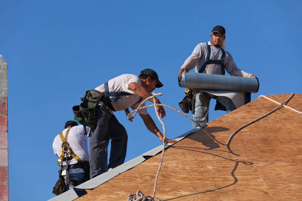 Best Storm Damage Roof Repair  in Erwin, TN