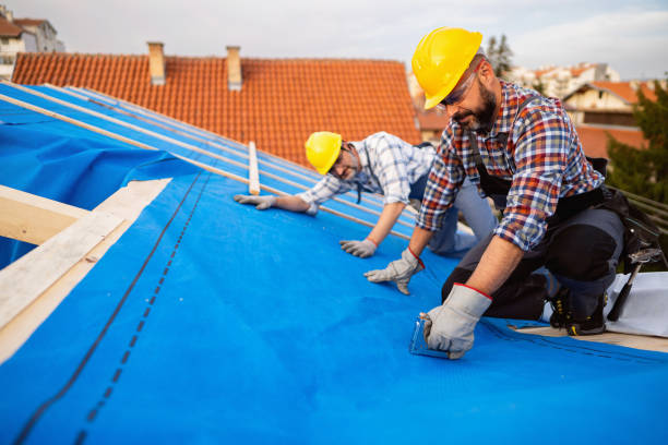 Roof Waterproofing Services in Erwin, TN