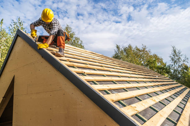 Best Metal Roofing Contractor  in Erwin, TN