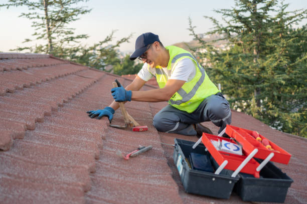 Best Roof Replacement Cost  in Erwin, TN