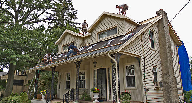 Best Slate Roofing Contractor  in Erwin, TN