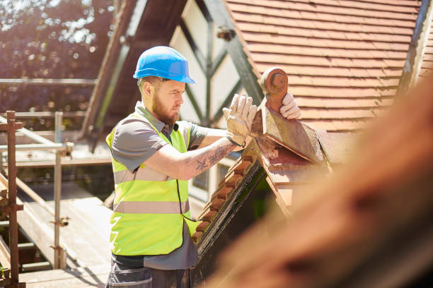Best Residential Roofing Contractor  in Erwin, TN