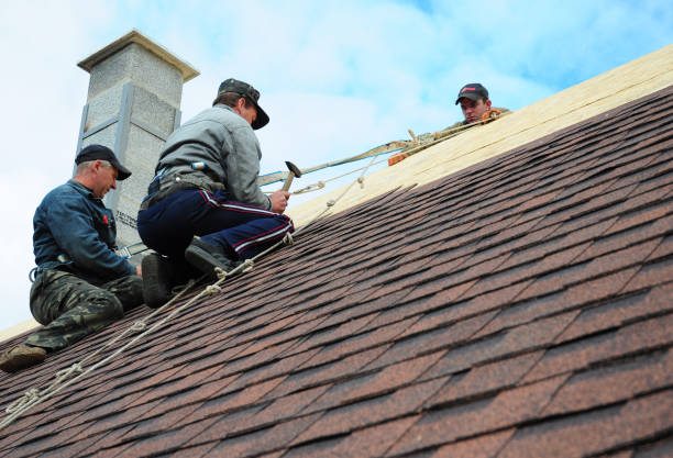 Best Shingle Roofing Installation  in Erwin, TN